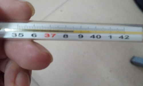 【木槿花的治疗作用】木槿花药用部位 - 木槿花药用网